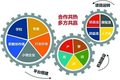 做软件开发需要掌握什么